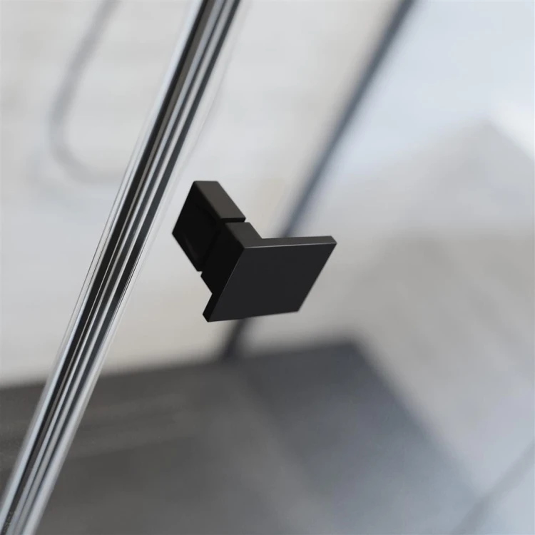 essenzanb2.jpg