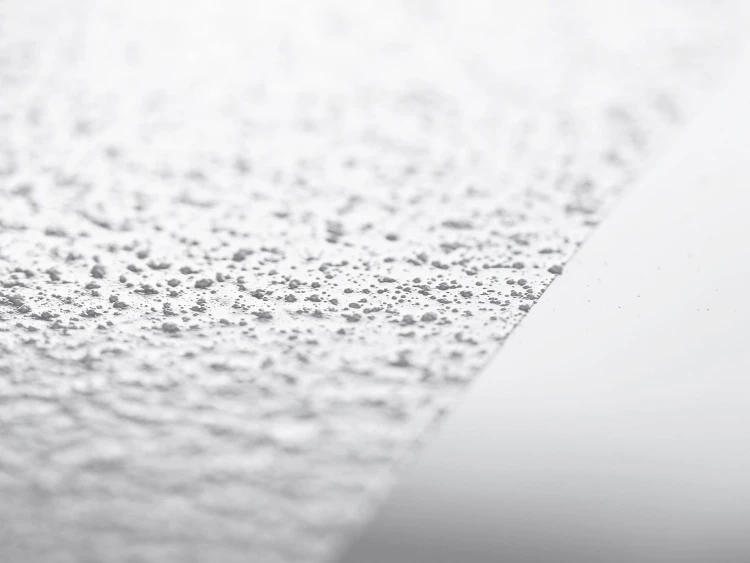 260561.jpg