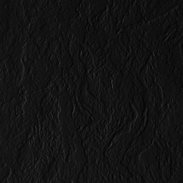 455546.jpg