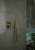 exp2.jpg