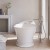 classicawwbpz3.webp