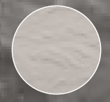 kaszmir.webp