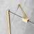 esenzagoldz4.webp