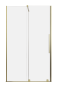 brushedgolddwj3.webp