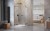 espropdd2.webp