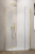 goldptjlewy.webp