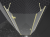 lzloty.webp